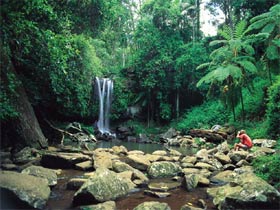 Tamborine National Park - Tourism Canberra 0