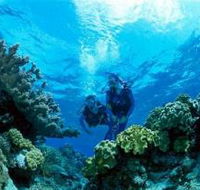 Coral Gardens Dive Site - Tourism Canberra