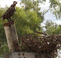 Blackall Sculpture Trail - Tourism Canberra