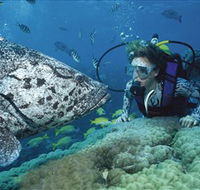 Pelorus Island - Tourism Canberra