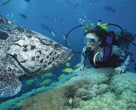 Pelorus Island - Tourism Canberra 0
