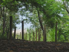 Toomulla Beach - Tourism Canberra 0