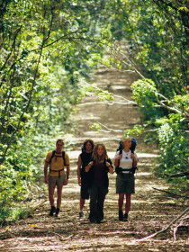 Wet Tropics Great Walk - Tourism Canberra 0