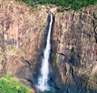 Buujan Quiinbiira Walk Wet Tropics Great Walk - Tourism Canberra