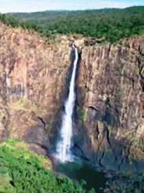Buujan Quiinbiira Walk (Wet Tropics Great Walk) - Tourism Canberra 0