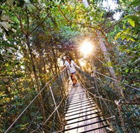Tree Top Walkway - Tourism Canberra