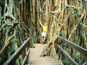 Yungaburra QLD Tourism Canberra