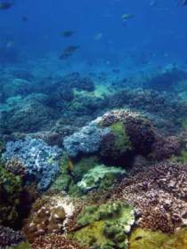 Bargara QLD Tourism Canberra