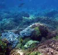 Hoffman's Rocks Dive Site - Tourism Canberra