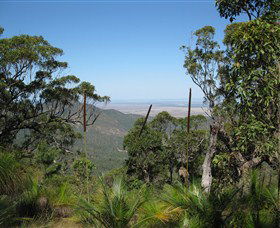 Zamia Walk - Tourism Canberra 0