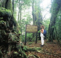 Tooloona Creek circuit - Tourism Canberra