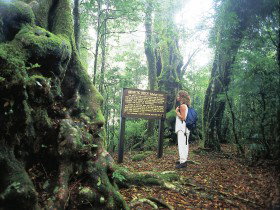 Tooloona Creek Circuit - Tourism Canberra 0