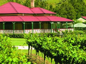 OReillys Canungra Valley Vineyards - Tourism Canberra 0