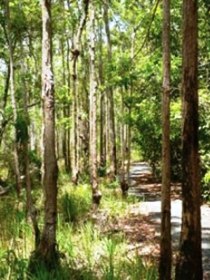 Hallorans Hill - Tourism Canberra 0