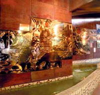 Riversleigh Fossil Centre - Tourism Canberra