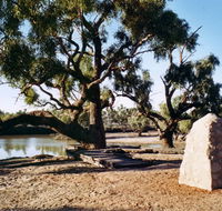Burke and Wills Dig Tree - Tourism Canberra