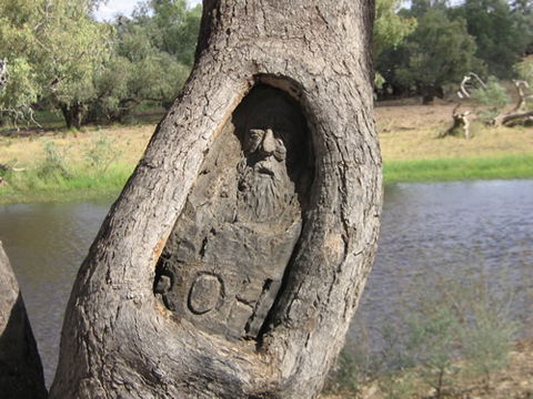 Burke And Wills Dig Tree - Tourism Canberra 3