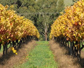 Wild Dog Winery & Restaurant - Tourism Canberra 0