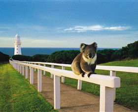 Cape Otway VIC Tourism Canberra