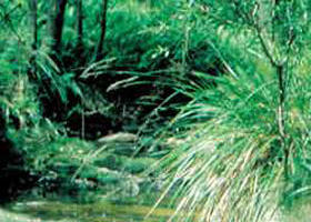 Newbury VIC Tourism Canberra