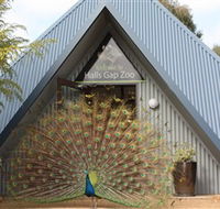 Halls Gap Zoo - Tourism Canberra