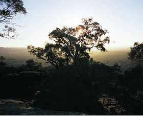 Yarra Flats - Tourism Canberra 0