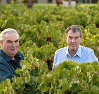 Campbells Wines - Tourism Canberra