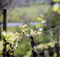 Booth's Taminick Cellars - Tourism Canberra