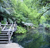 Alfred Nicholas Gardens - Tourism Canberra