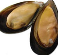 Sea Bounty - Tourism Canberra