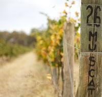 Stanton and Killeen Wines - Tourism Canberra