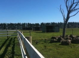 Saddle On Riding School - Tourism Canberra 6