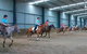 Saddle On Riding School - thumb 7