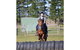 Saddle On Riding School - thumb 9
