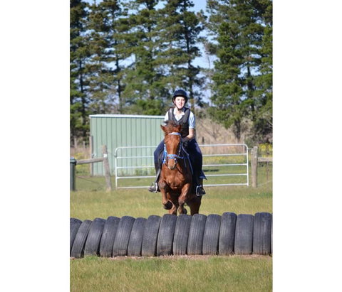 Saddle On Riding School - Tourism Canberra 9