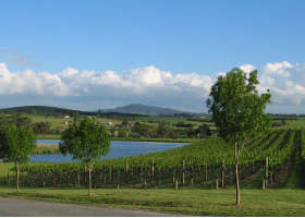 Yarrawood Estate - Tourism Canberra 0