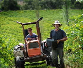 Kellybrook Winery & Kelly Brothers Cider - Tourism Canberra 0
