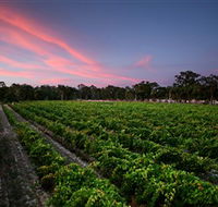 Amherst Winery - Tourism Canberra