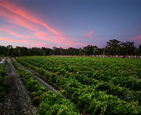 Amherst Winery - Tourism Canberra 0