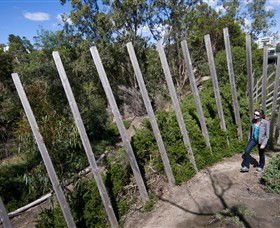Herring Island Environmental Sculpture Park - Tourism Canberra 0