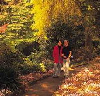 George Tindale Memorial Gardens - Tourism Canberra
