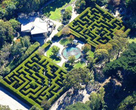 Ashcombe Maze & Lavender Gardens - Tourism Canberra 0