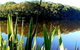Aura Vale Lake Park - thumb 0