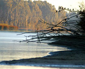 Barmah National Park - Tourism Canberra 0