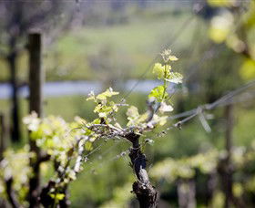 Kyneton Ridge Estate - Tourism Canberra 0