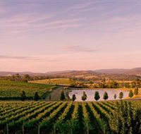 Oakridge Wines - Tourism Canberra
