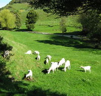 Goats of Gaia Soap - Tourism Canberra