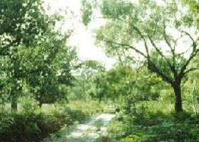 Holey Plains State Park - Tourism Canberra 0
