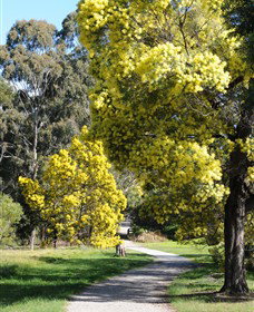 Wattle Park - Tourism Canberra 0