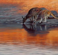 Steve Morvell Wildlife Art - Tourism Canberra